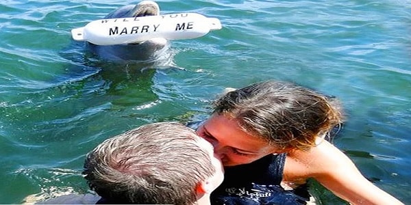 marriage proposal dolphin